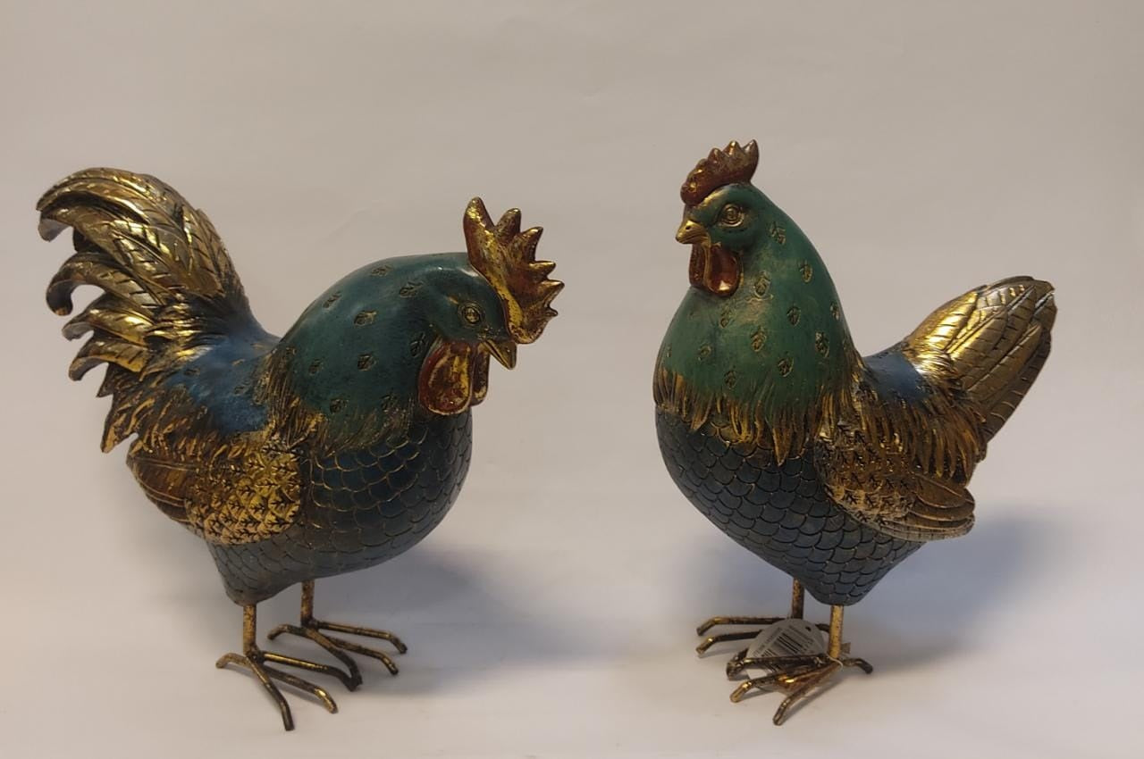 Gallinas / Gallos