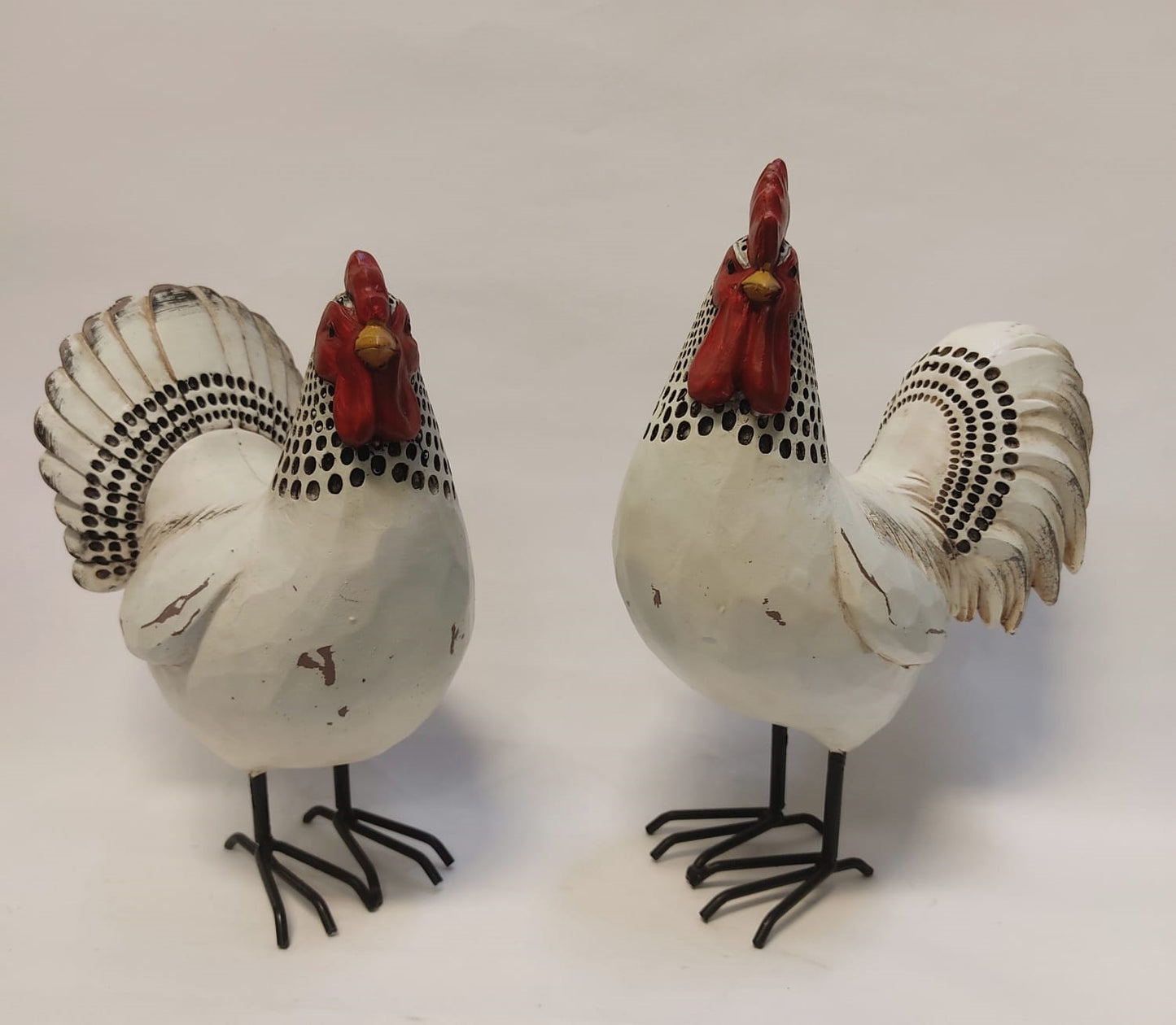 Gallinas / Gallos