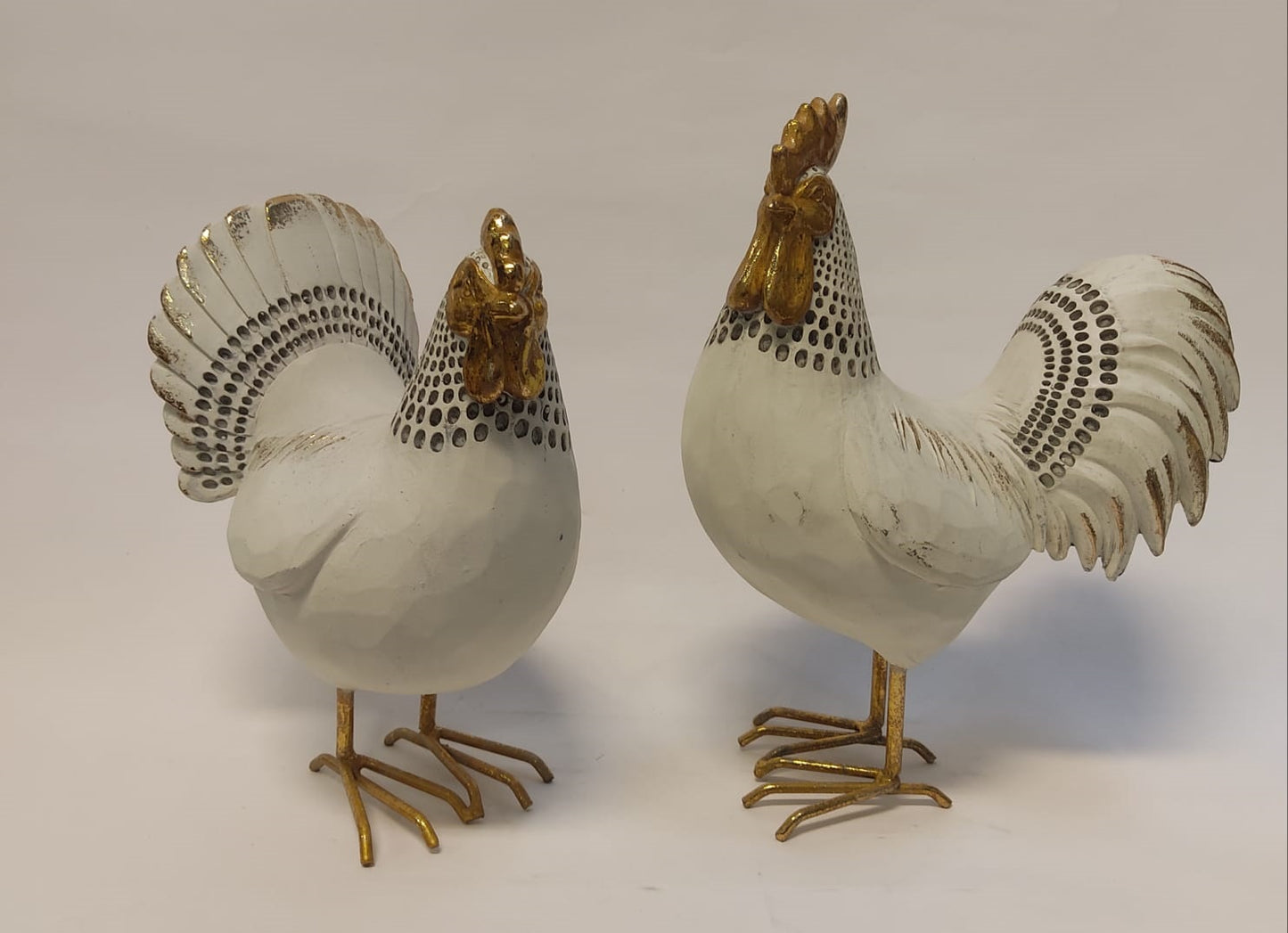Gallinas / Gallos