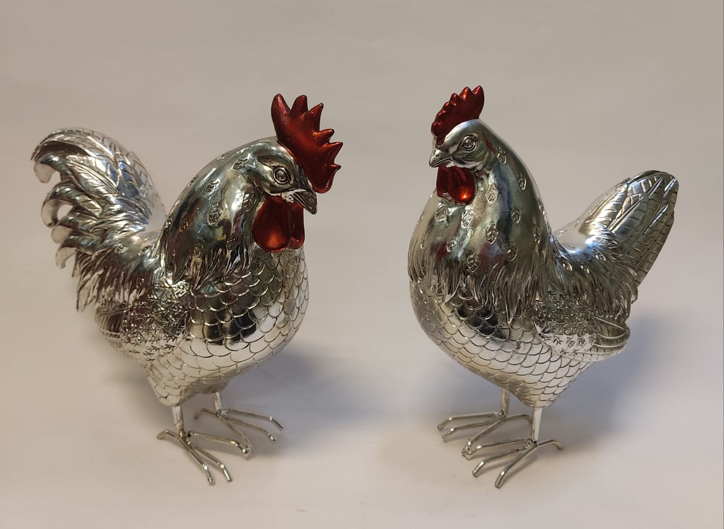 Gallinas / Gallos